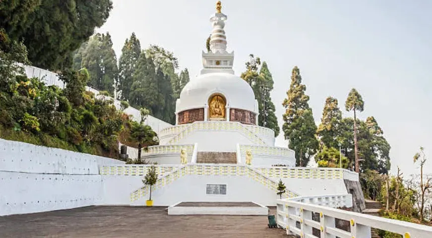 White Darjeeling Peace Pagoda monument surrounded by pine trees.