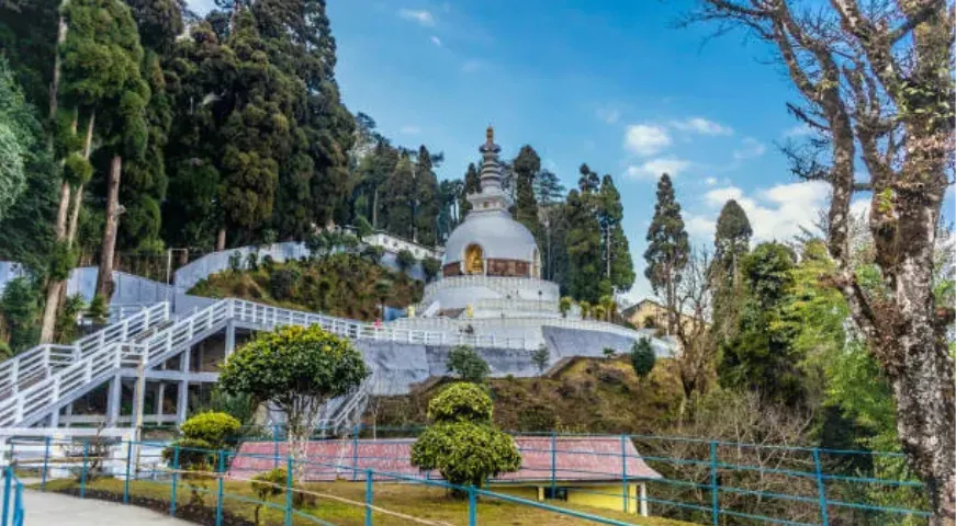 White Darjeeling Peace Pagoda monument surrounded by pine trees.